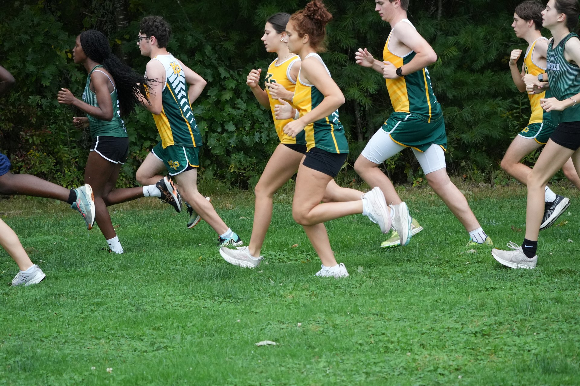 Green and yellow uniforms moving past the trees.