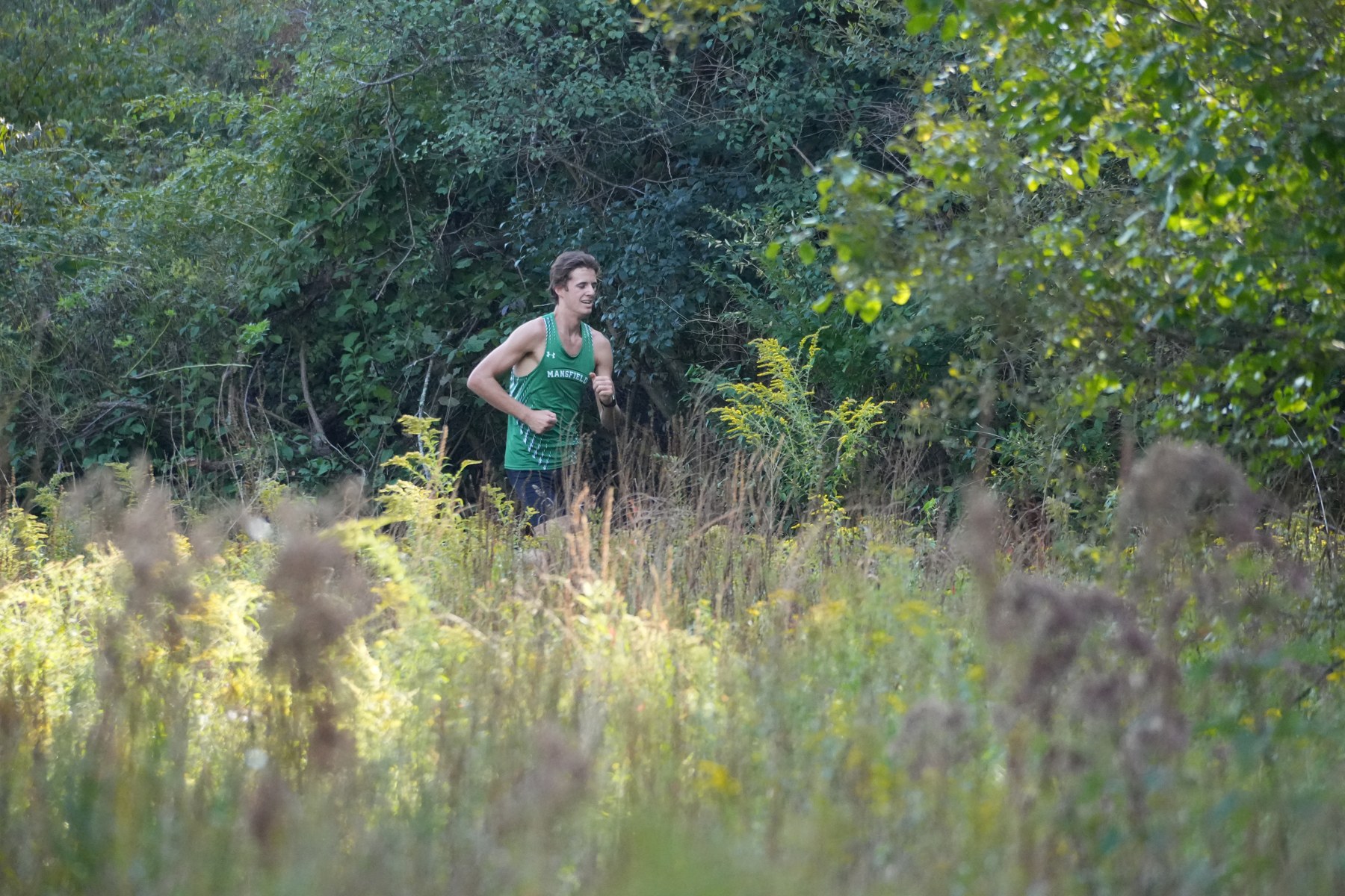 A Mansfield runner seen beyond tall sunlit grass.