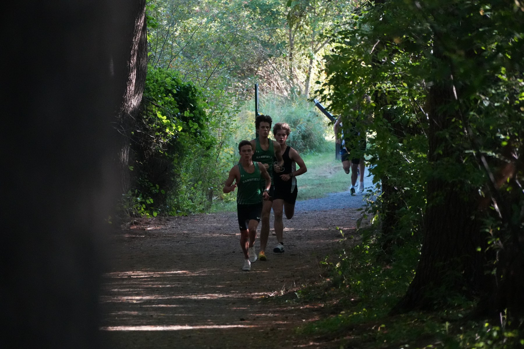 Runners sharing a shaded trail through the trees.