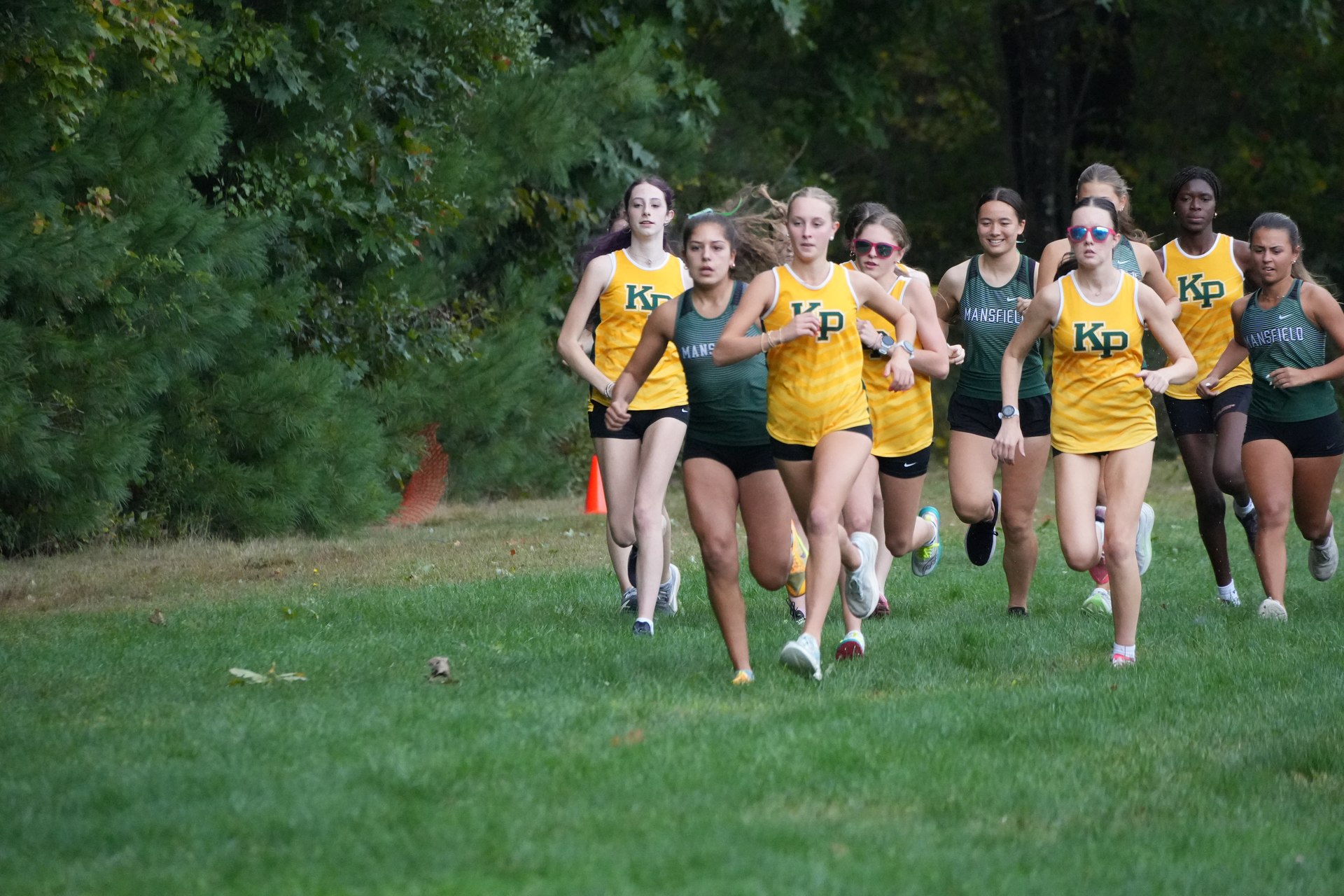 The early field, still close together.