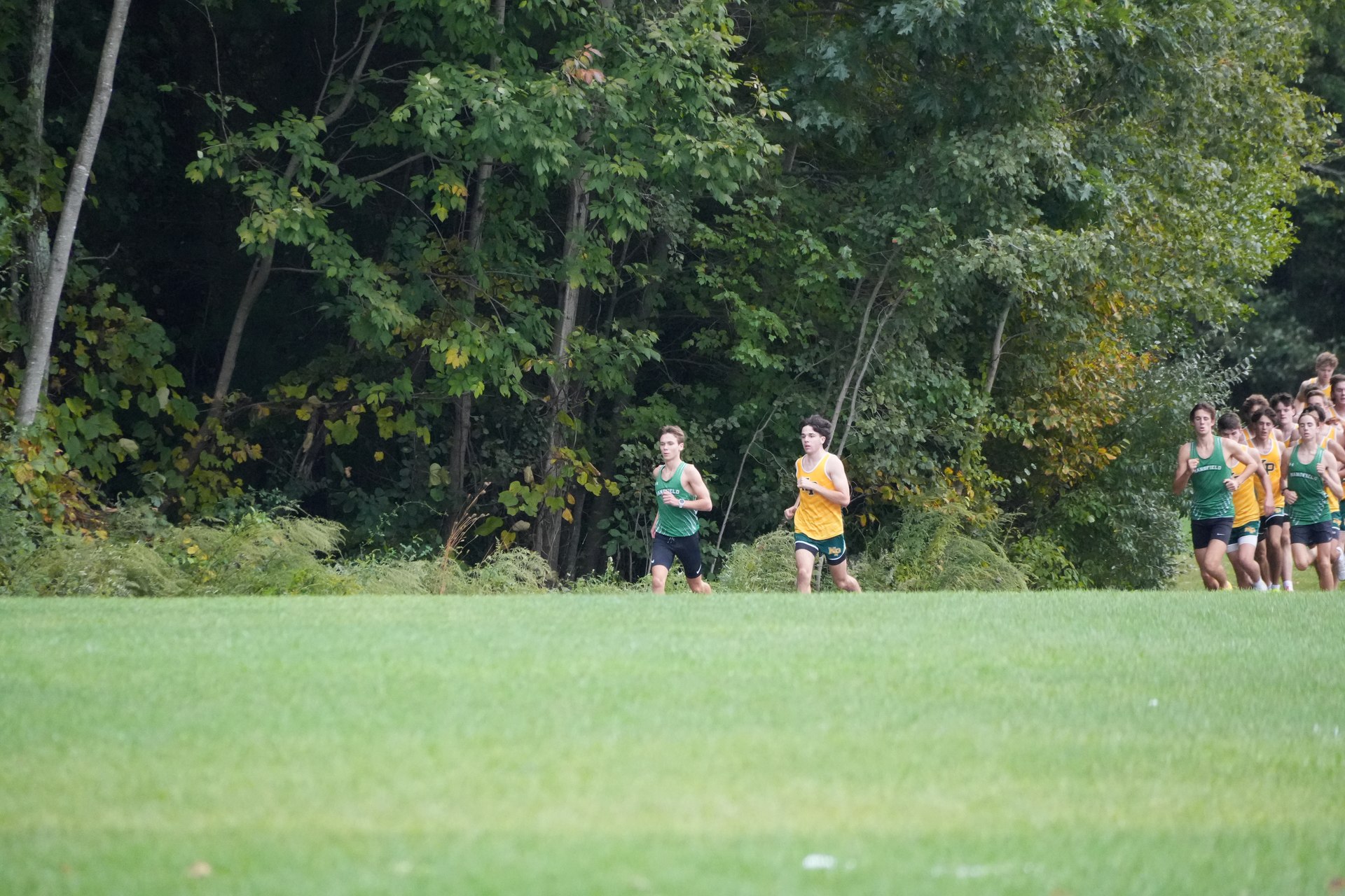 Runners coming along the edge of the field.